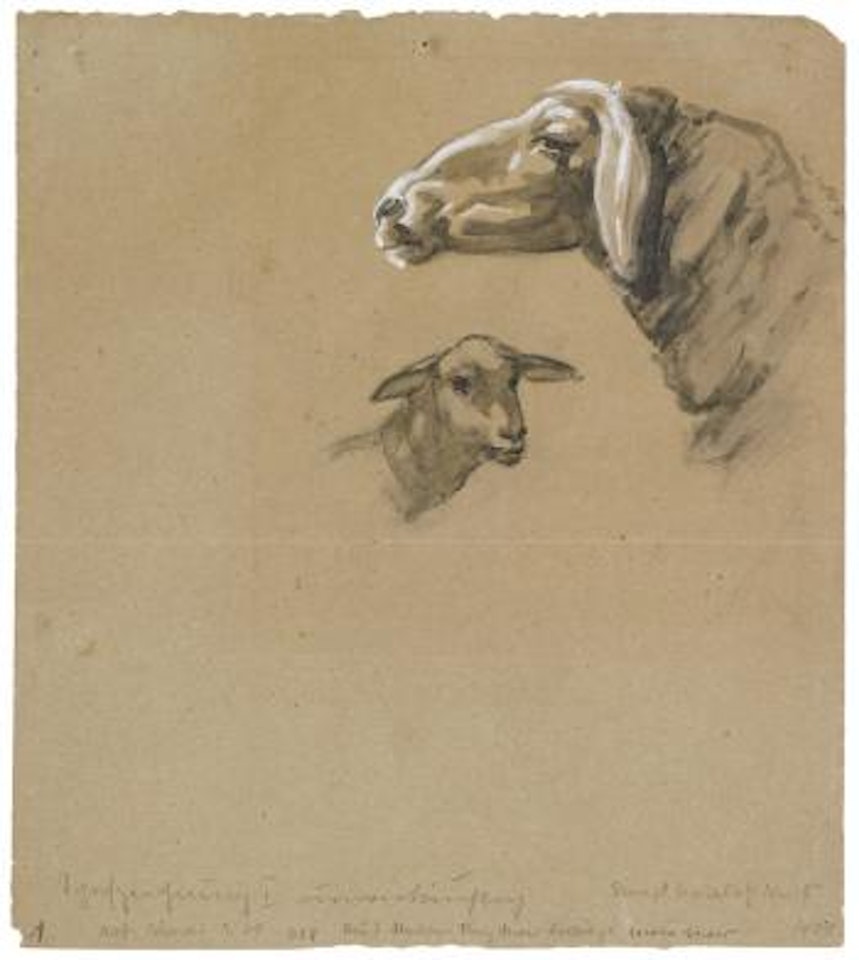 Schafzeichnung I. Verso: Schaf und großes Schema eines Kuhkopfes ,
1905 by Franz Marc
