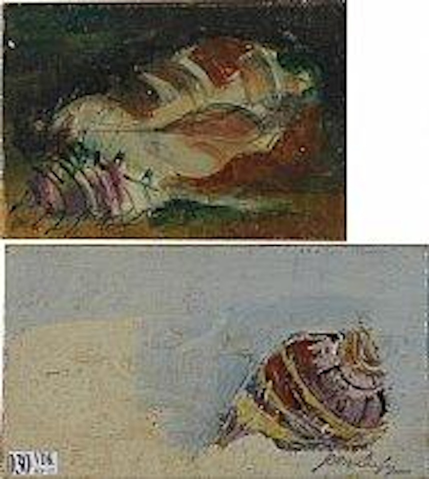 Etudes de coquillage , by Jean Dufy