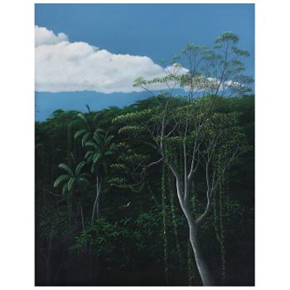 Bosque con nube ,
1986 by Tomas Sanchez