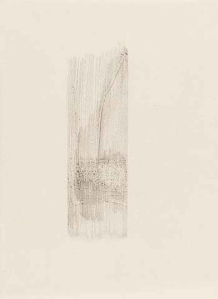 Geburt ,
1955 by Joseph Beuys