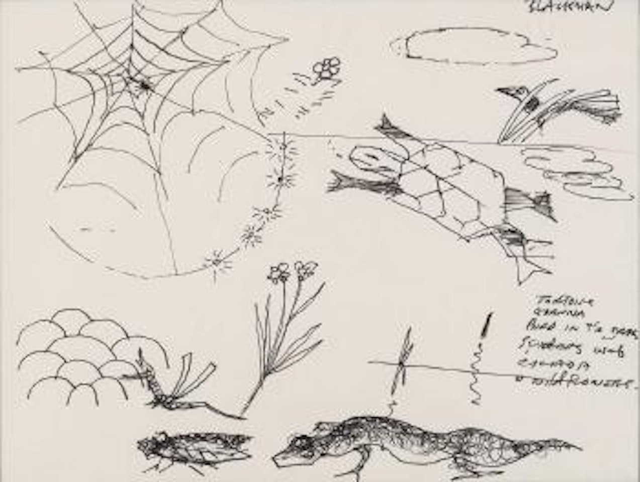 Flora & fauna , by Charles Blackman