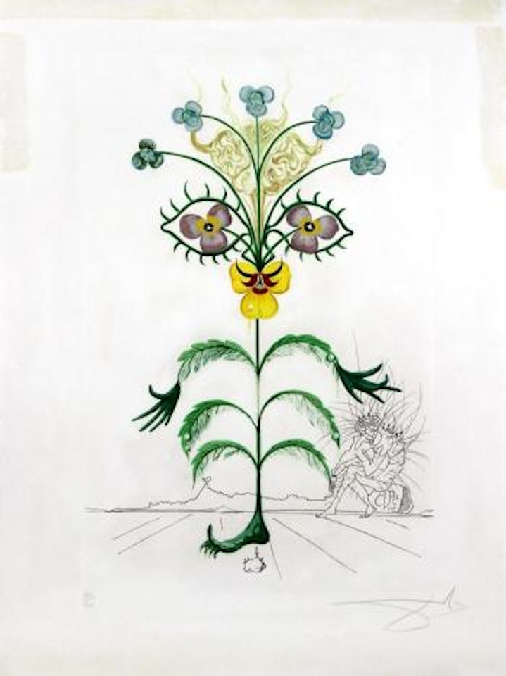 Viola Cogitans (self portrait pansy) ,
1968 by Salvador Dali