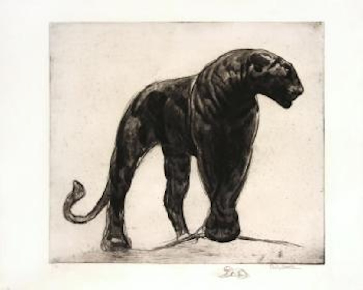 Panther , by Paul Jouve