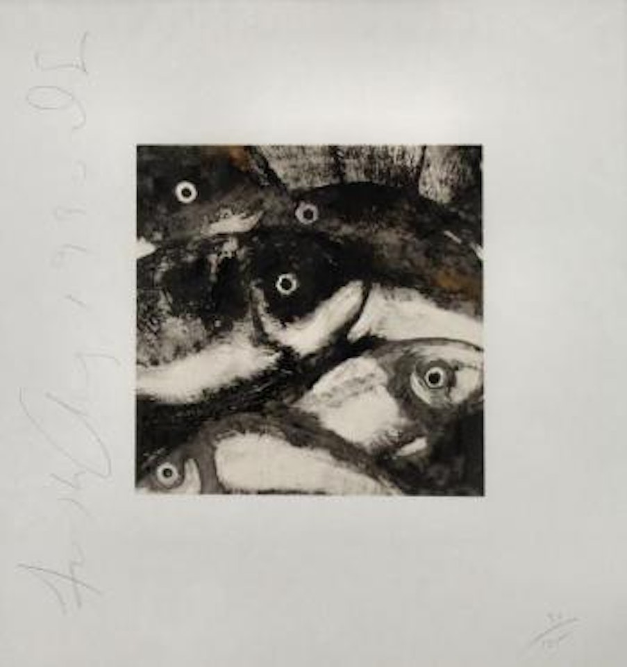 Fish ,
1990 by Donald Sultan