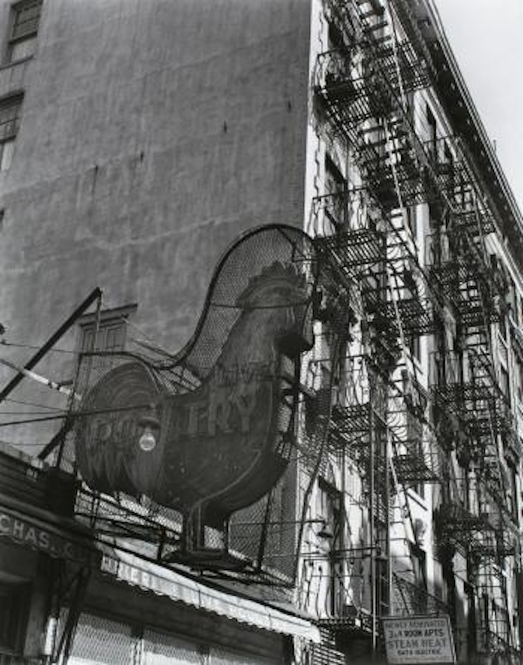Poultry Shop (Changing New York) ,
1935 by Berenice Abbott