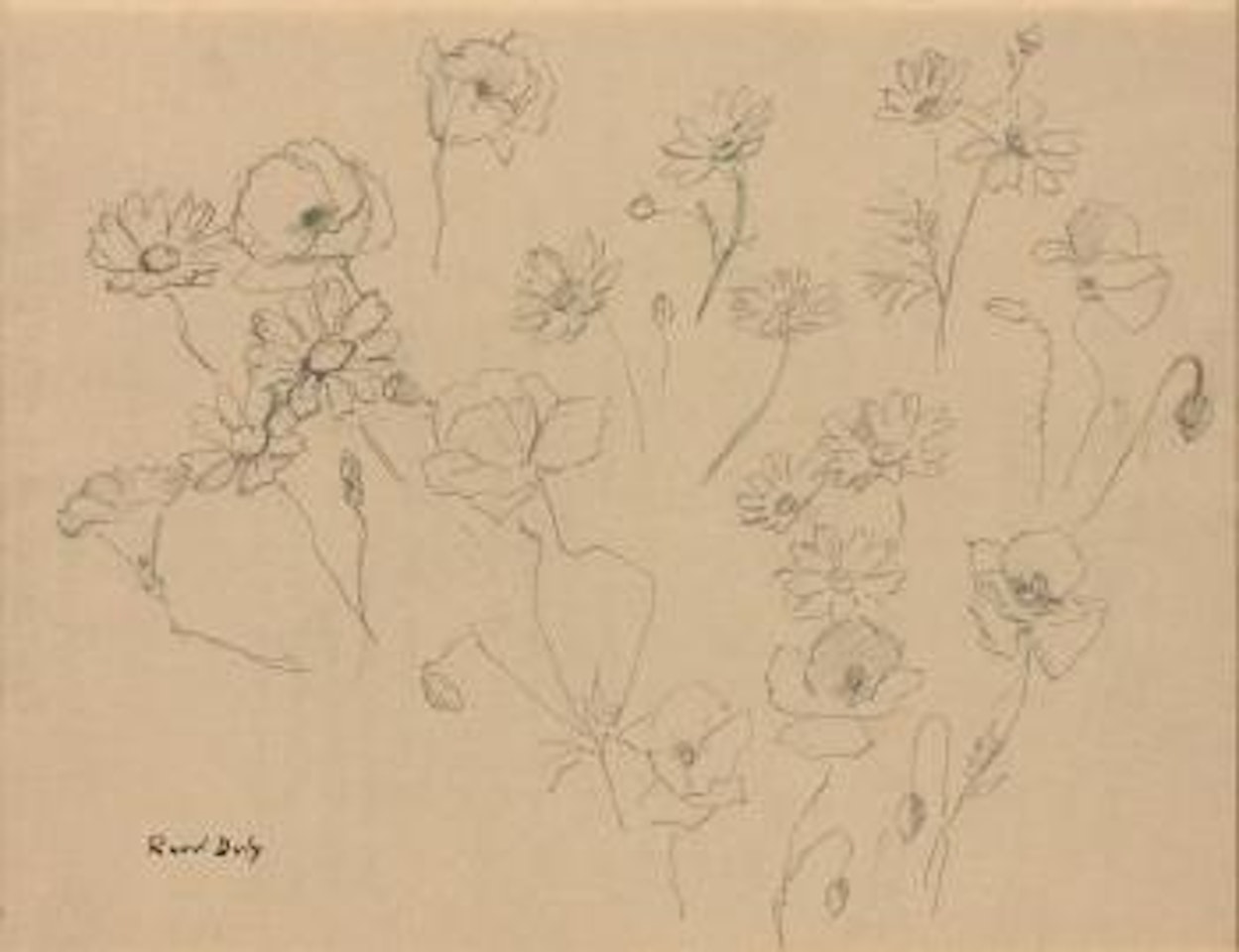 Coquelicots, étude , by Raoul Dufy