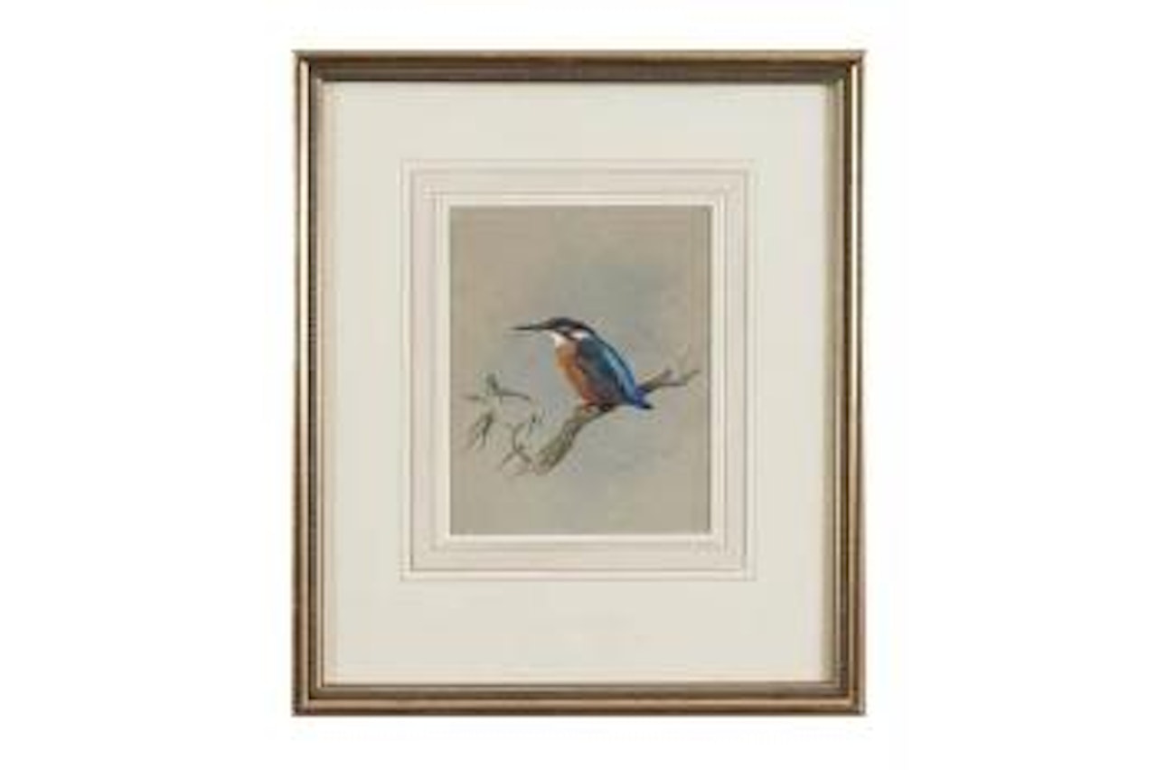 The kingfisher ,
1915 by Archibald Thorburn