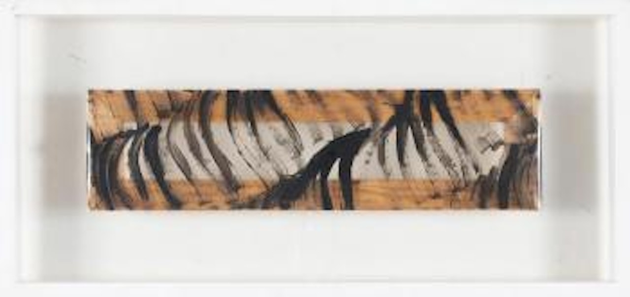 Black ,
1969 by Carla Accardi