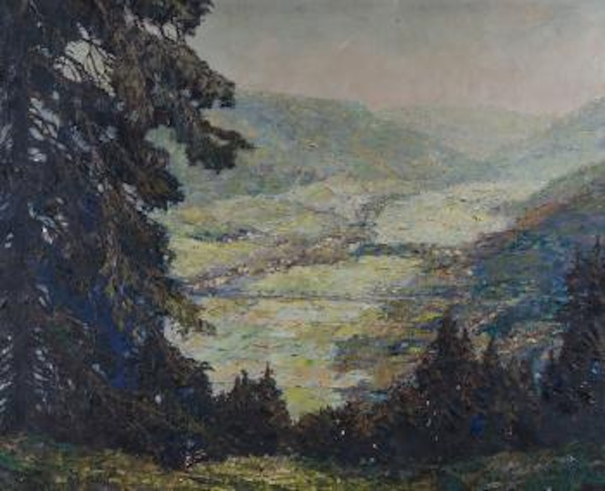 Alte Schwarzwaldtanne bei Galmbach ,
1934 by Otto Pippel