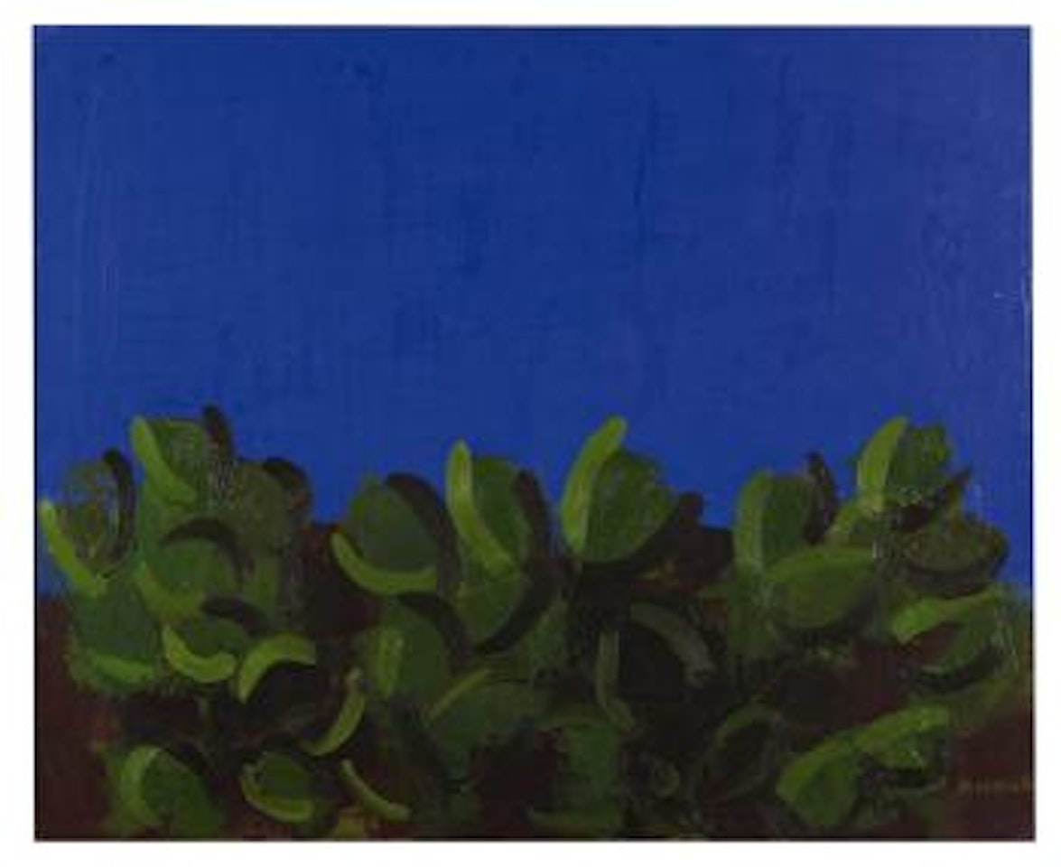 Cactus ,
1969 by Ennio Morlotti