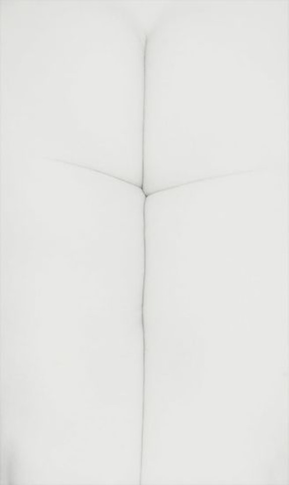 Untitled, Eleanor by Harry Callahan