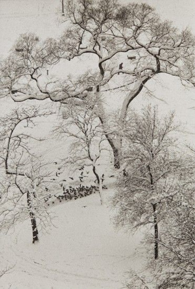 Washington Square, March 22 by André Kertész