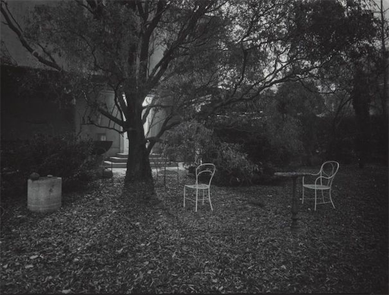 A Walk in the Magic Garden by Josef Sudek