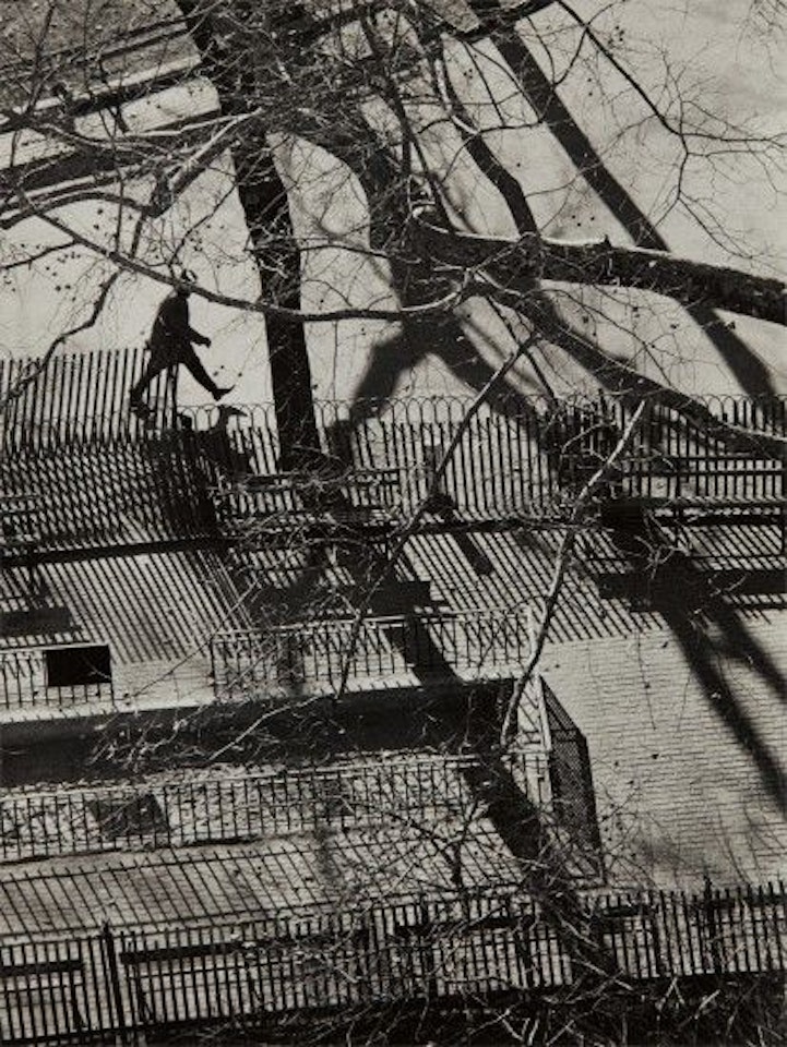 Washington Square Park, November 30 by André Kertész