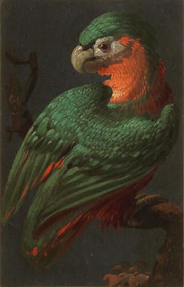 Two parrots by French School