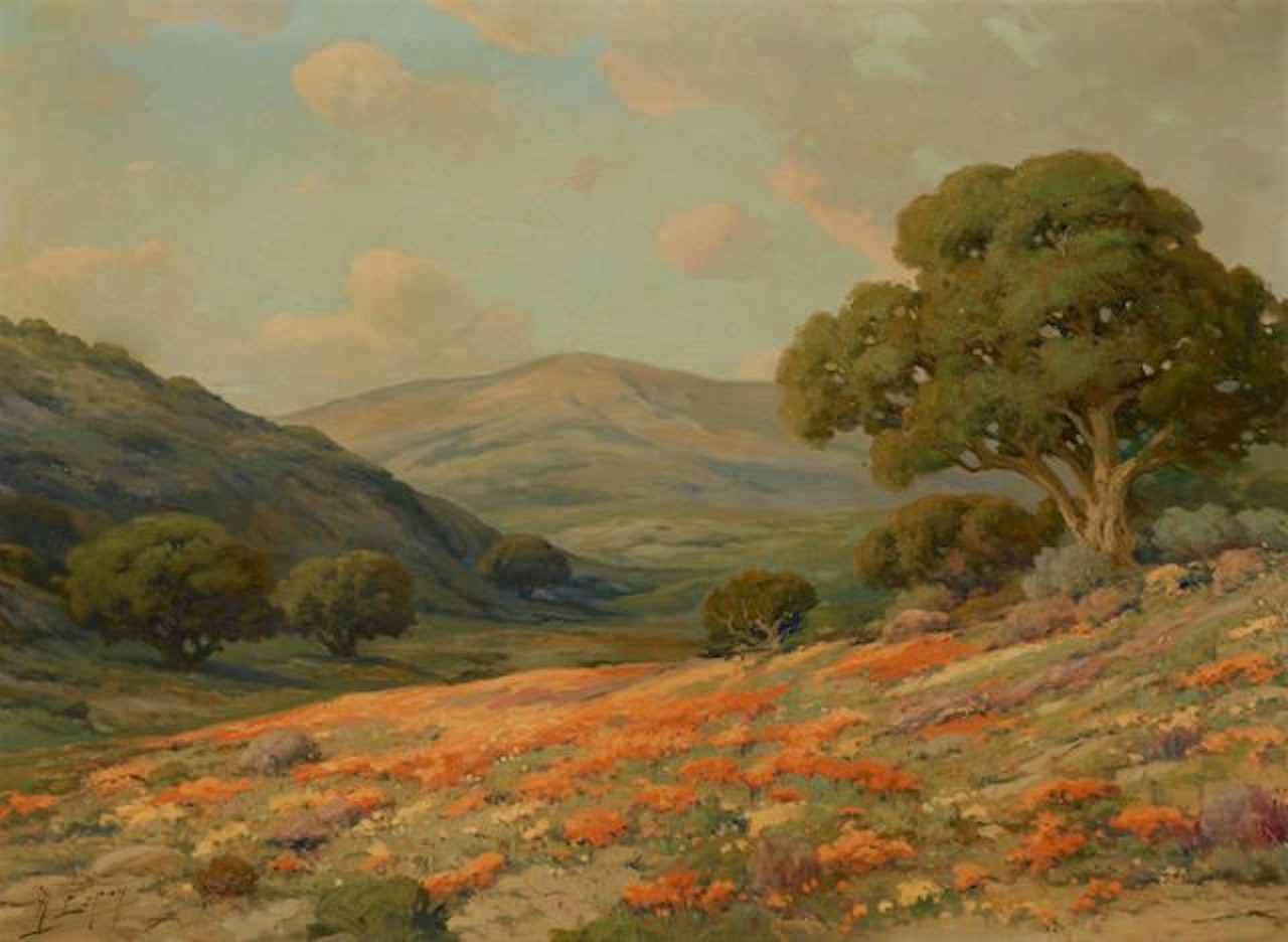 California wildflowers by Angel Espoy