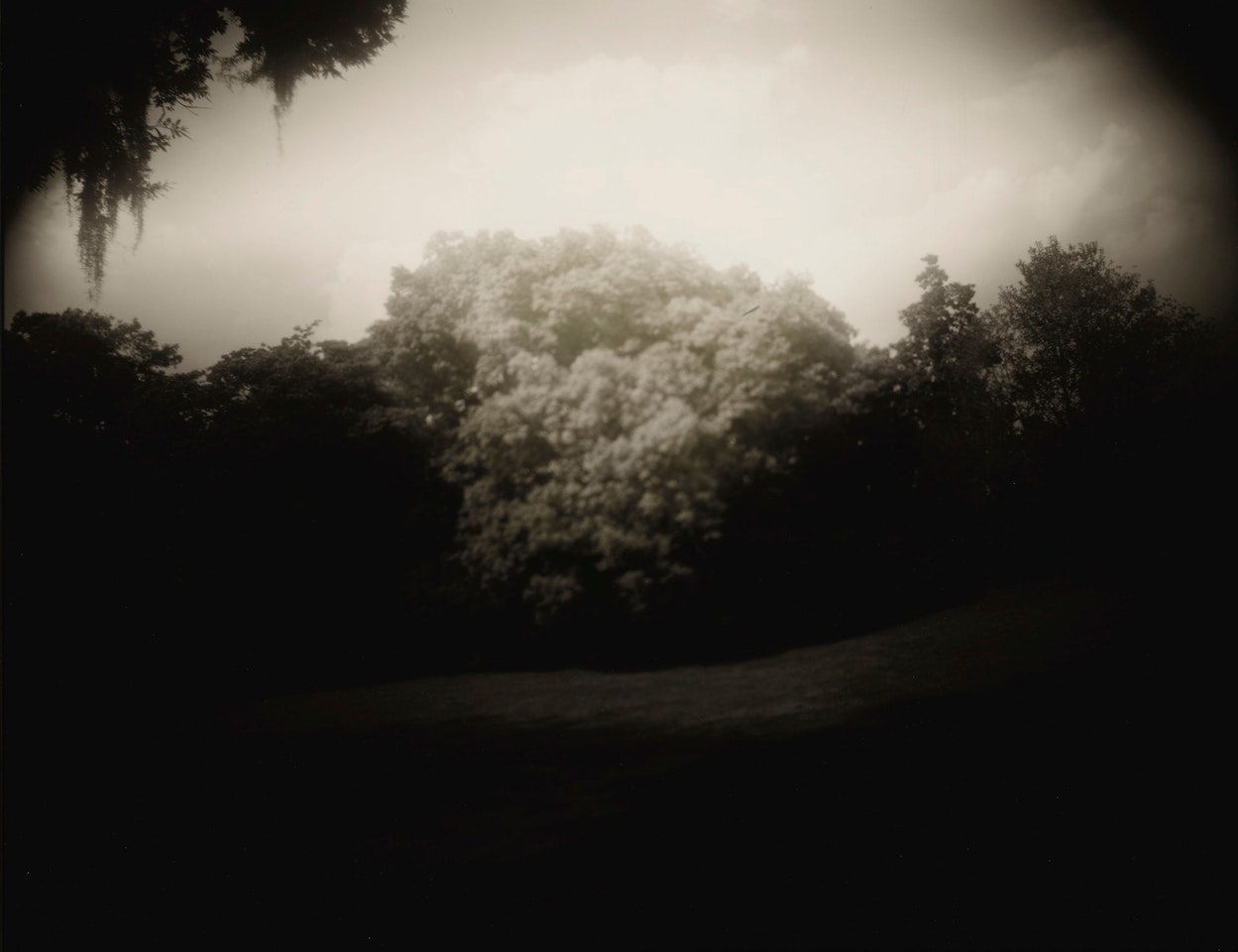 UNTITLED (VIRGINIA)  by Sally Mann
