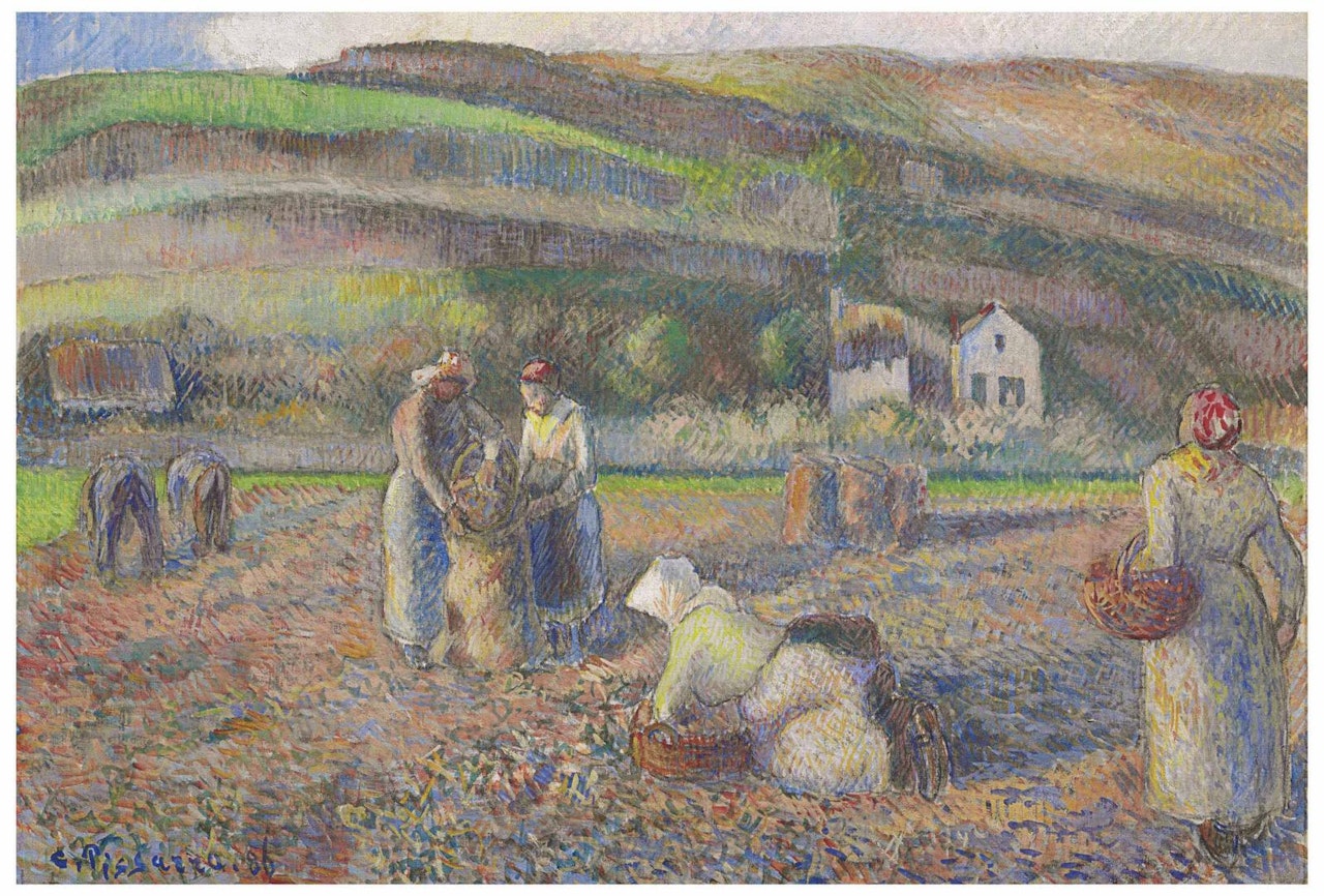 La récolte des pommes de terre by Camille Pissarro
