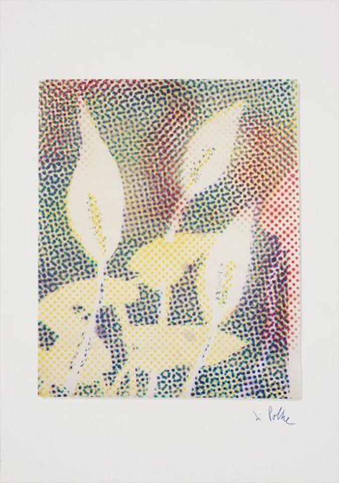 Calla by Sigmar Polke