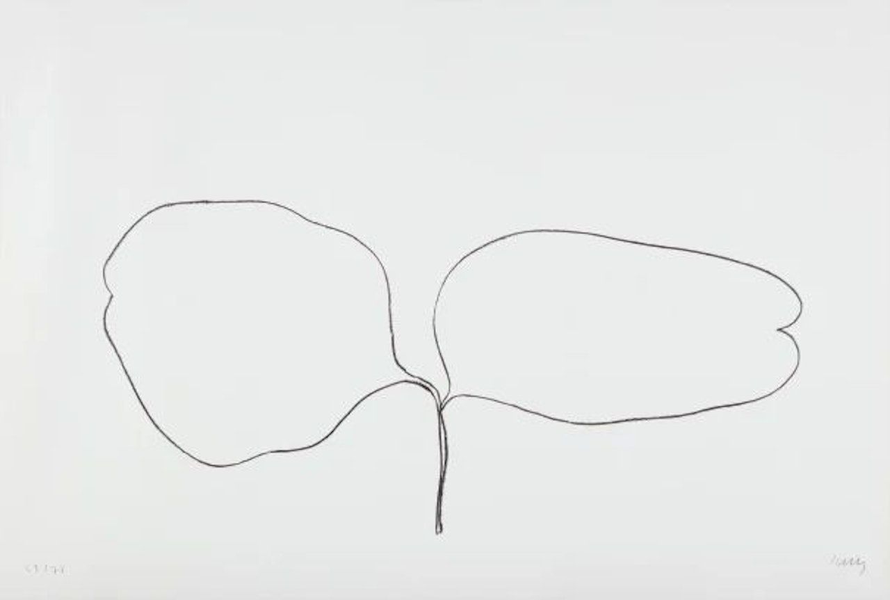 Locust (Acacia), from Suite of Plant Lithographs by Ellsworth Kelly