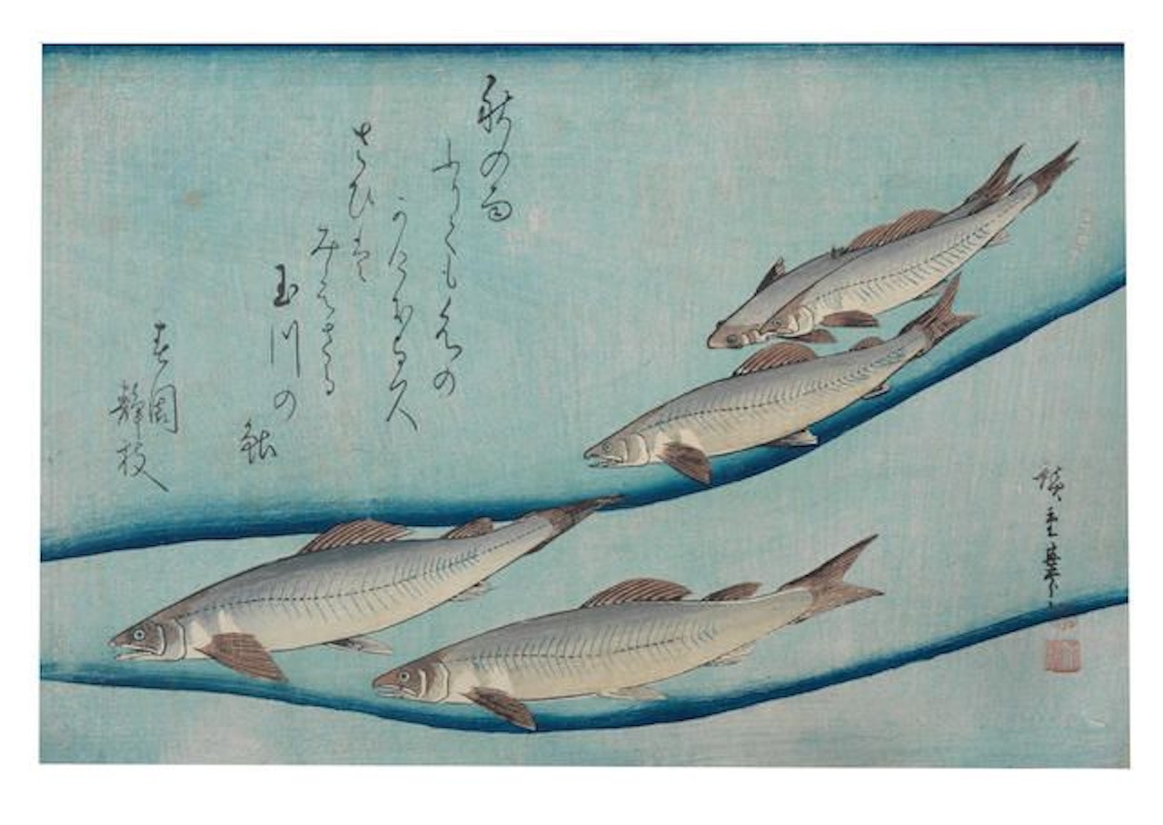 ayu (trout) by Utagawa Hiroshige