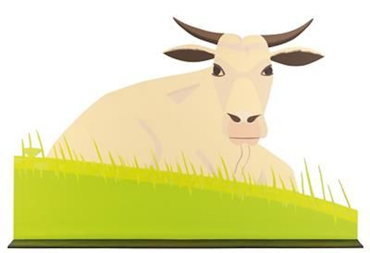 Cow (large) by Alex Katz