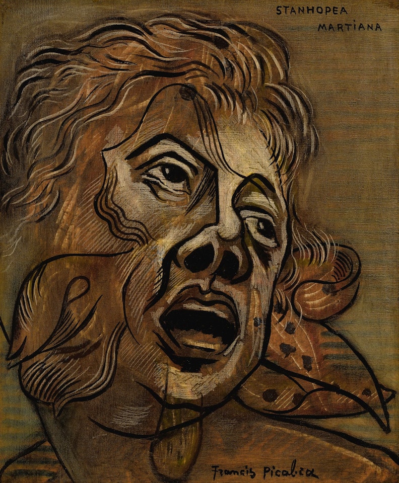 STANHOPEA MARTIANA by Francis Picabia