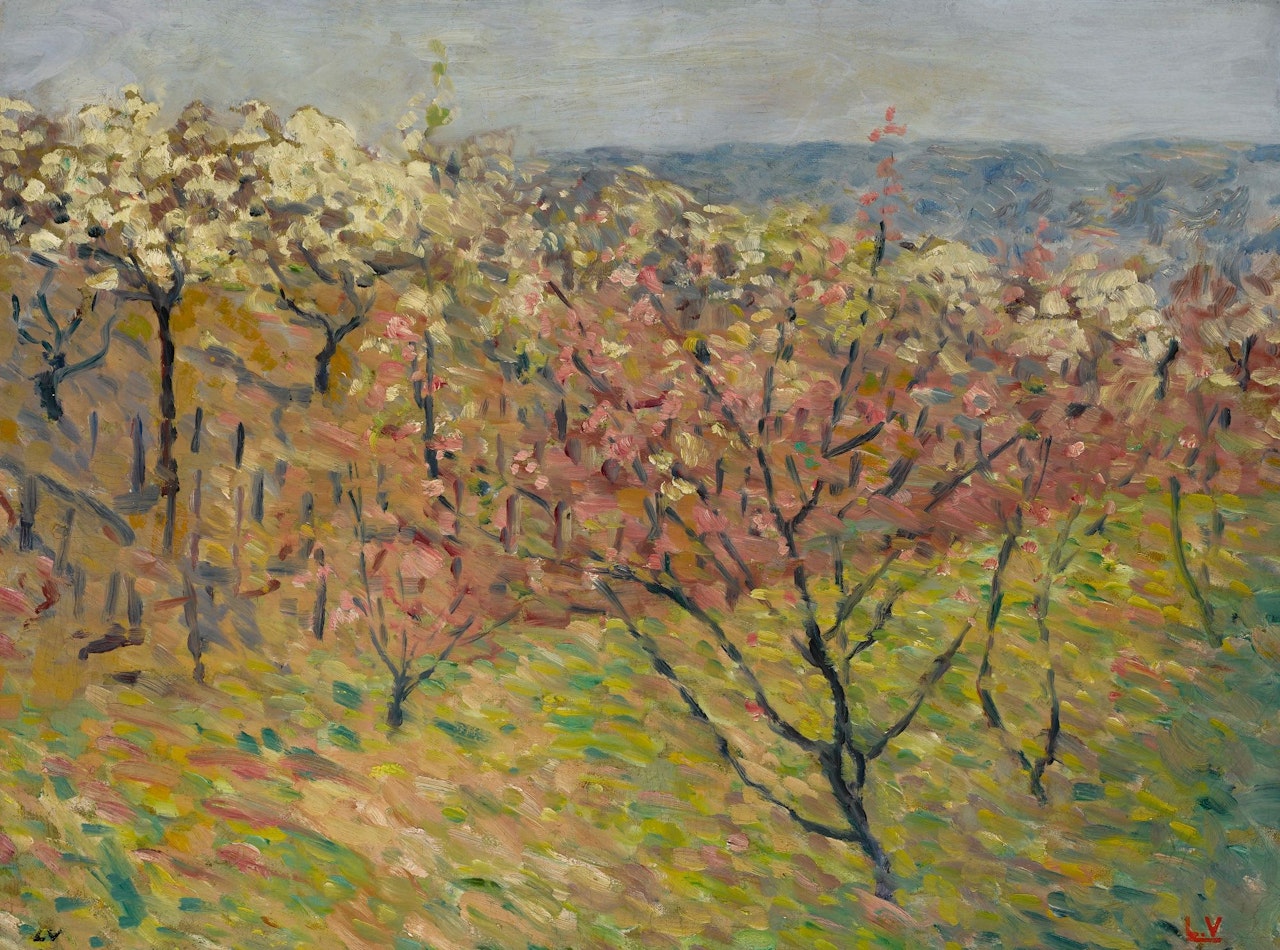 LES ARBRES EN FLEURS by Louis Valtat