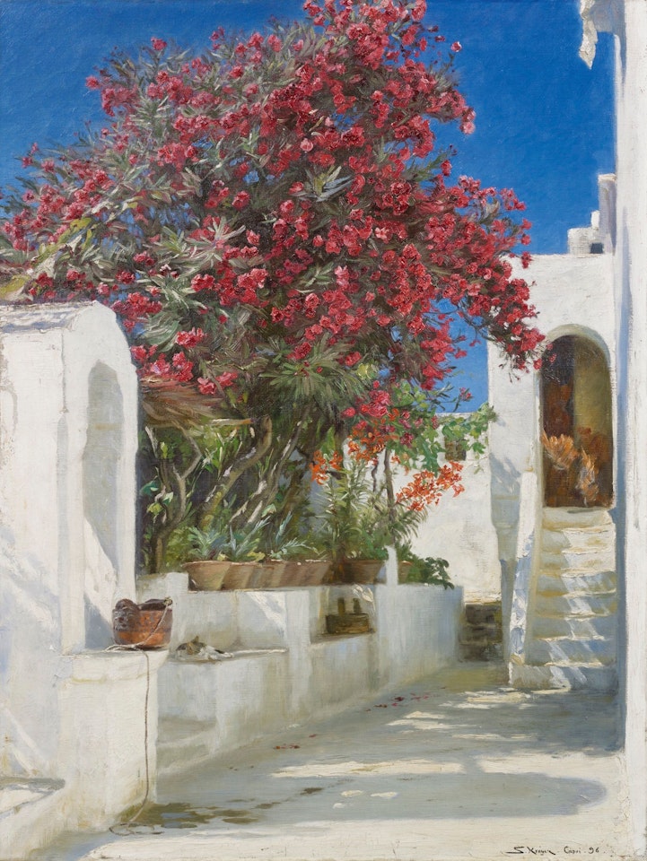 OLEANDERS IN BLOOM, CAPRI by Peder Severin Kröyer