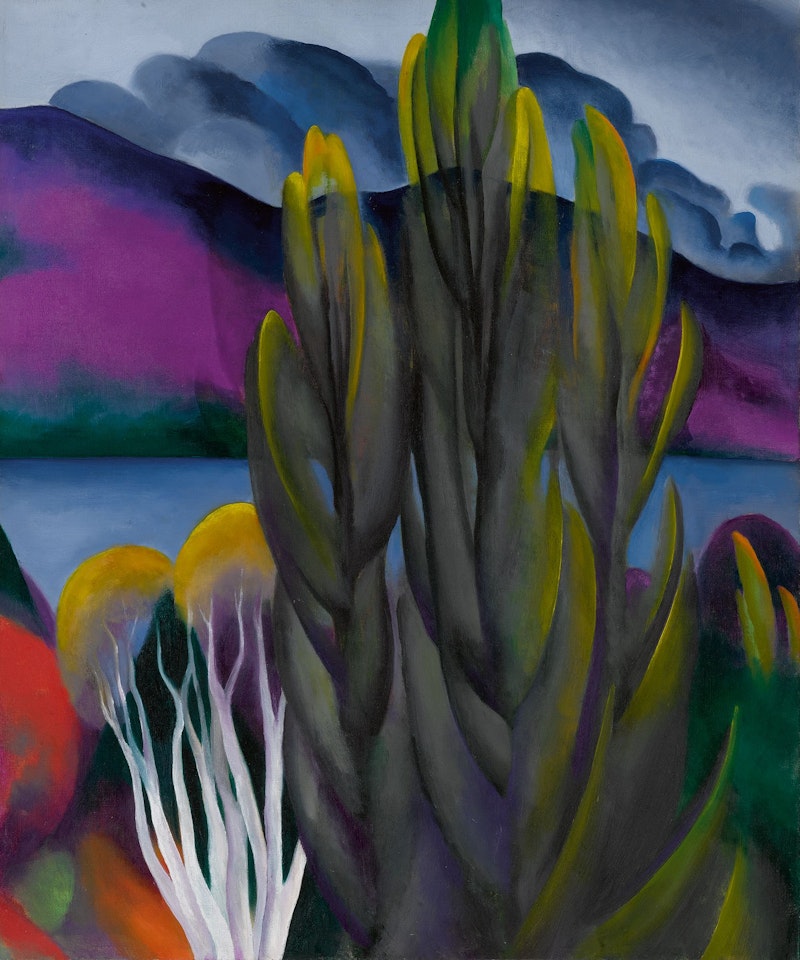 LAKE GEORGE WITH WHITE BIRCH  by Georgia O'Keeffe