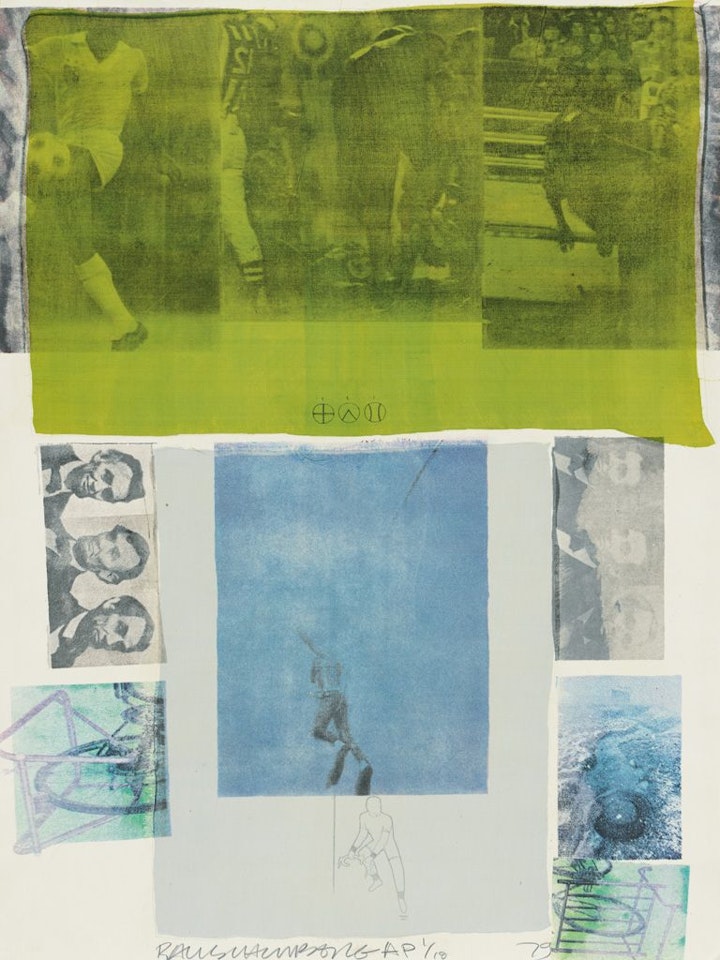 Shoot from a Main Stem by Robert Rauschenberg