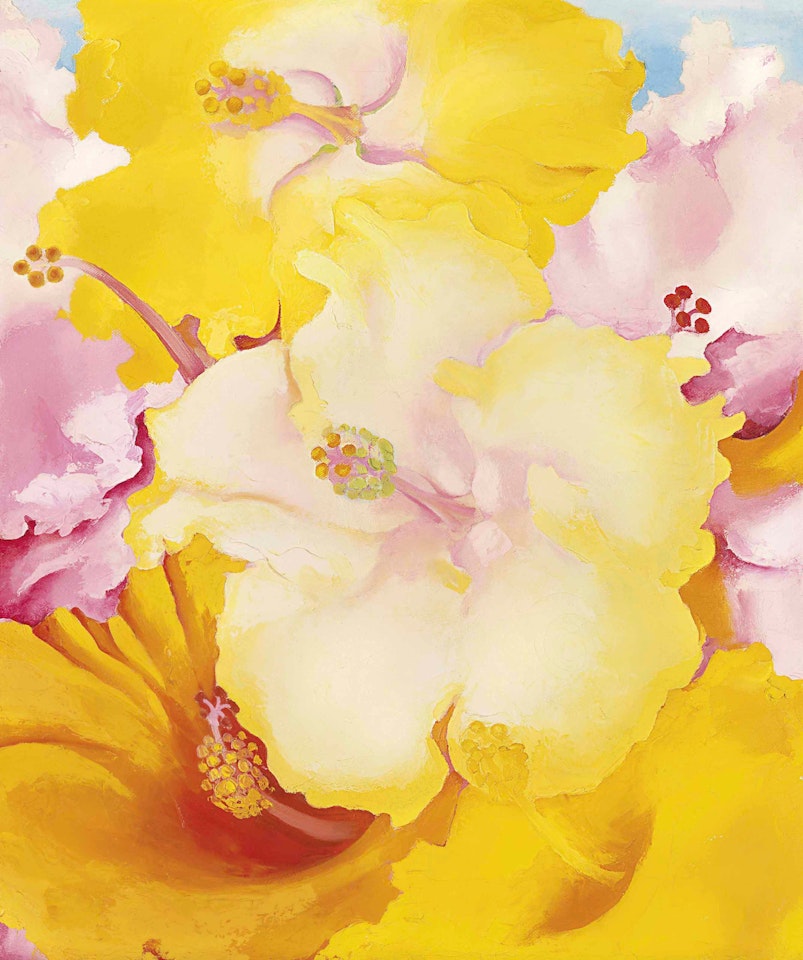 Hibiscus by Georgia O'Keeffe