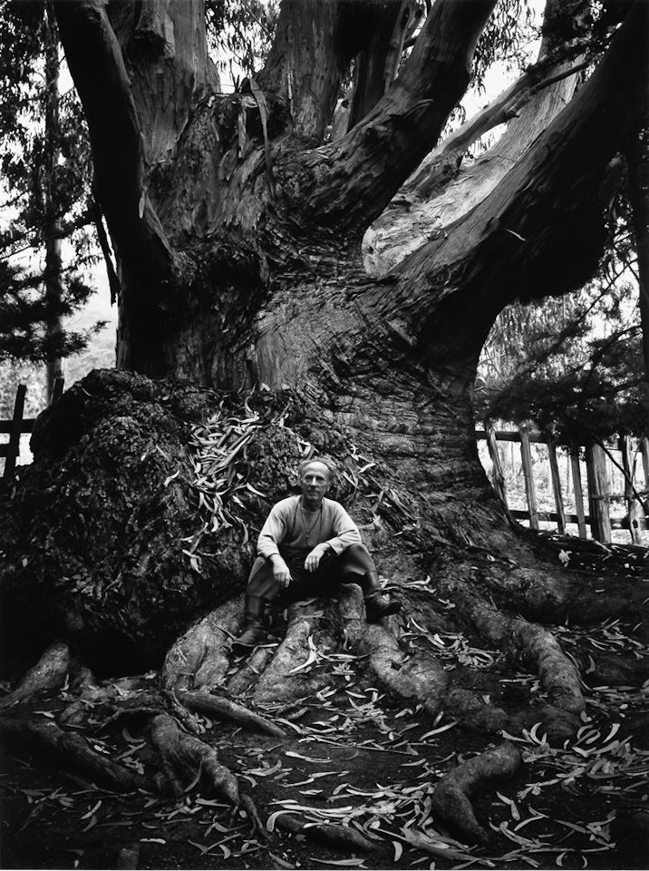 Edward Weston, Carmel Highlands, California by Ansel Adams