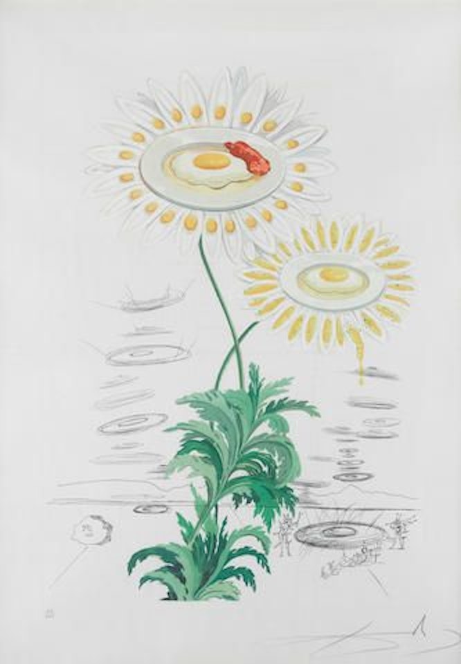 Chrysanthemum Frutescens (Marguerite) by Salvador Dali