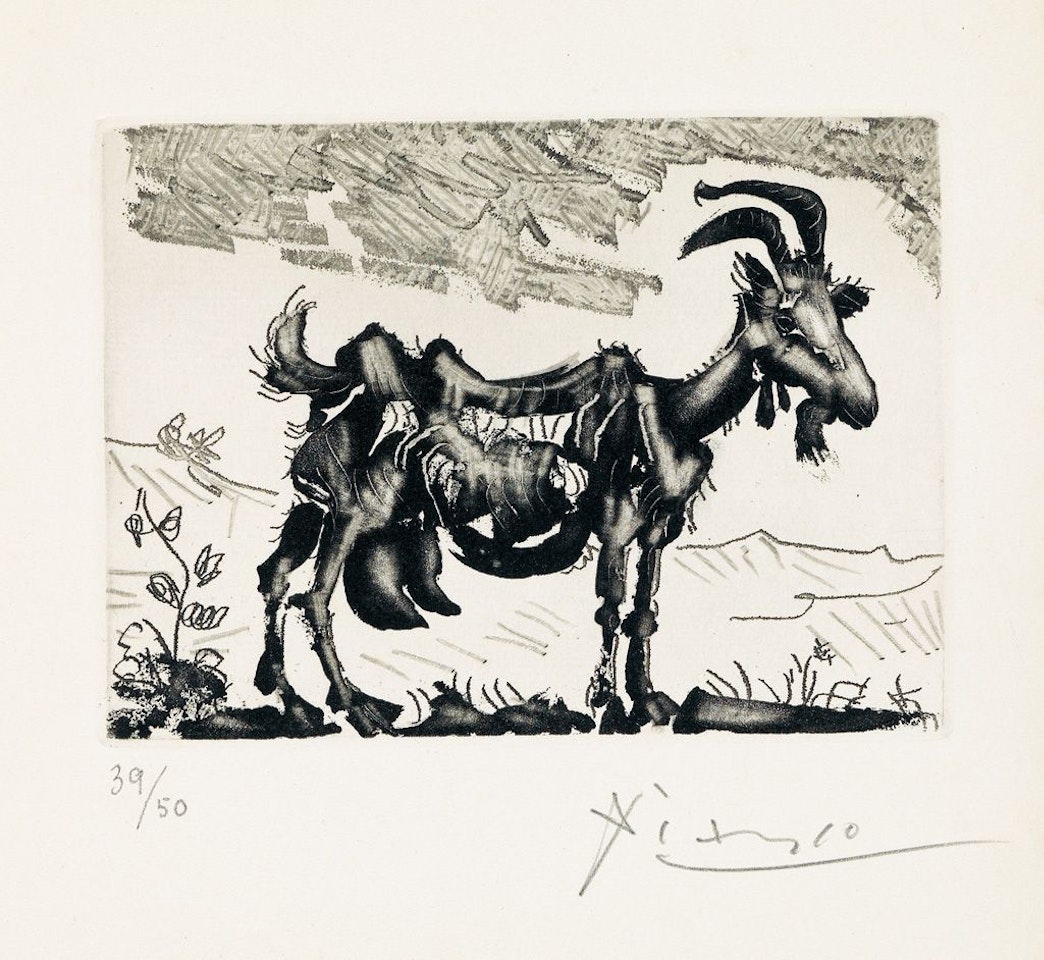 La Chèvre by Pablo Picasso