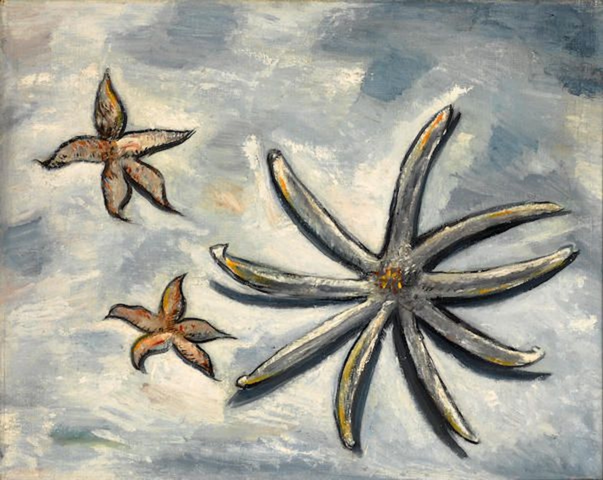Starfish by Marsden Hartley