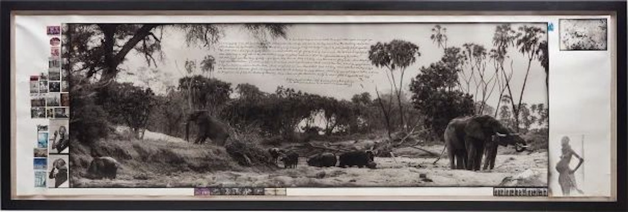 Downwind on the Tiva Lugga, Tsavo North near Kathamula by Peter Beard