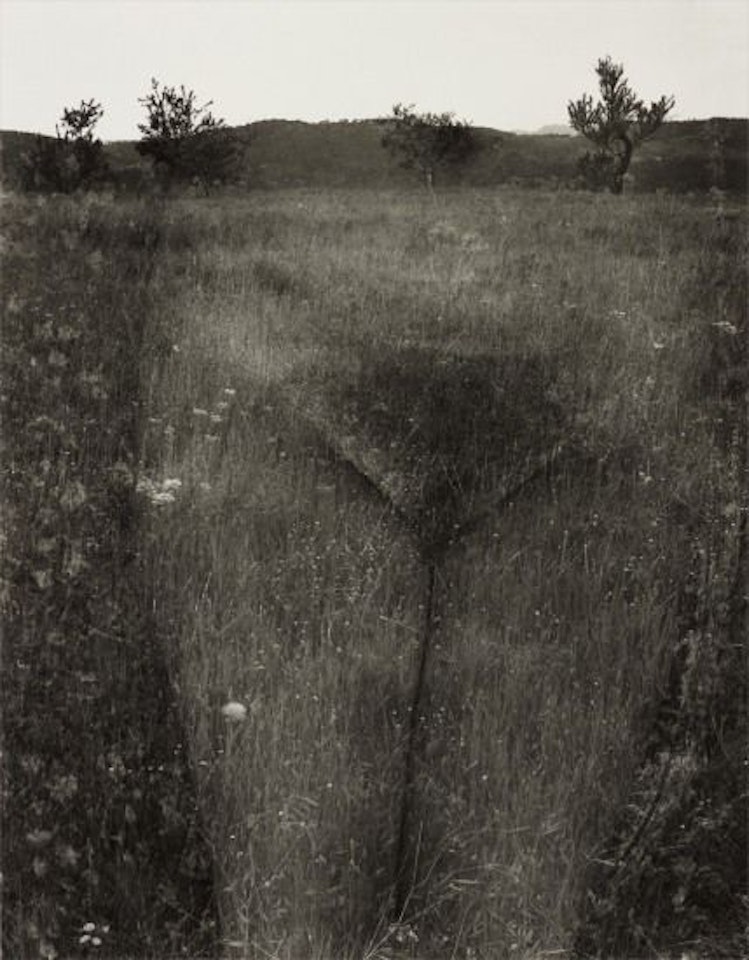 Eleanor, Aix-en-Provence, France by Harry Callahan