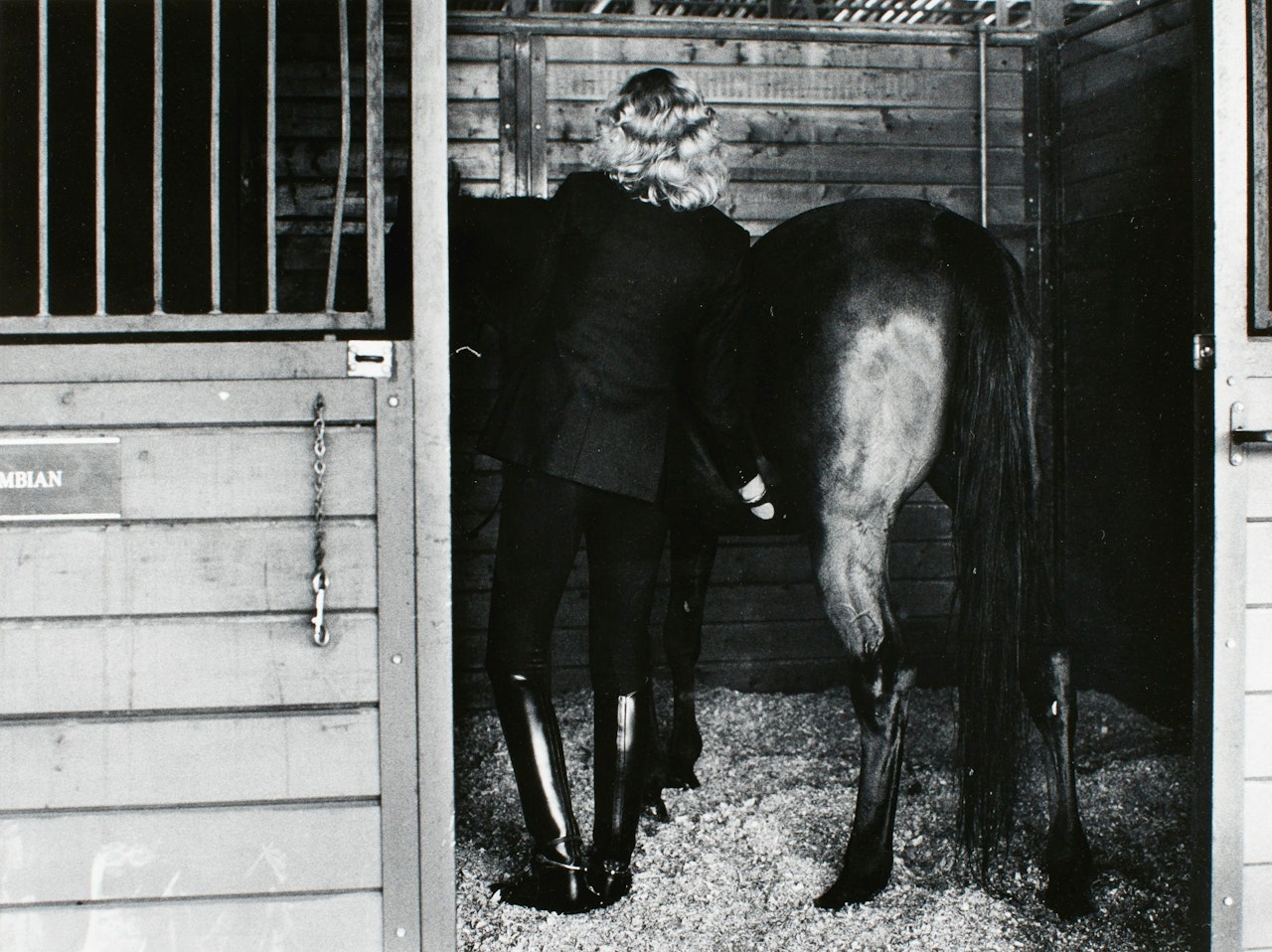 WOMAN WITH HORSE, BURBANK by Helmut Newton