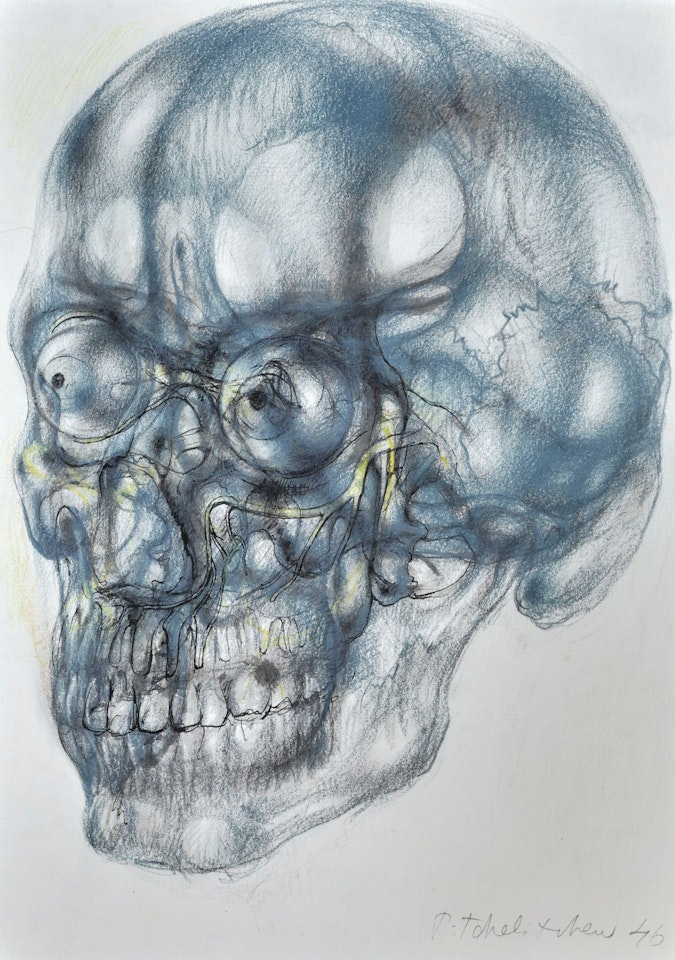 SKULL (INTERIOR LANDSCAPE) by Pavel Tchelitchew