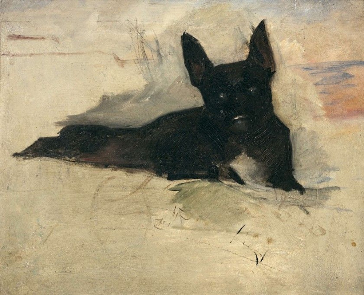 Little Dog lying by Henri de Toulouse-Lautrec