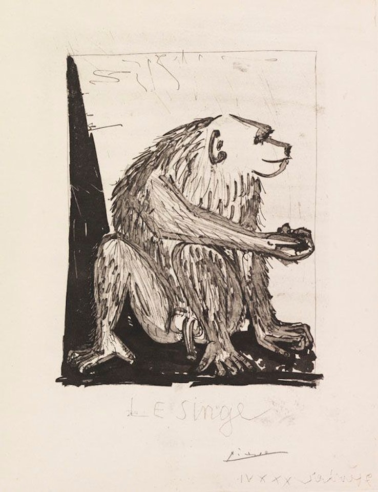 Le singe by Pablo Picasso