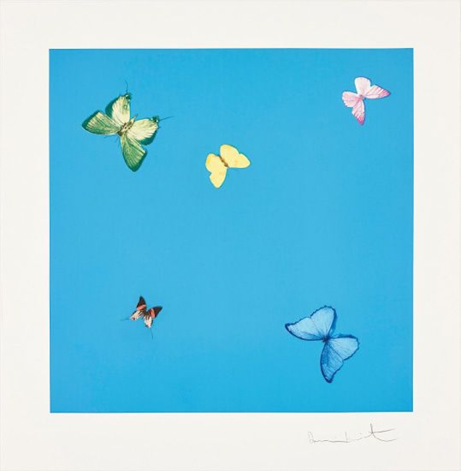 A Dream, from Love Poems by Damien Hirst