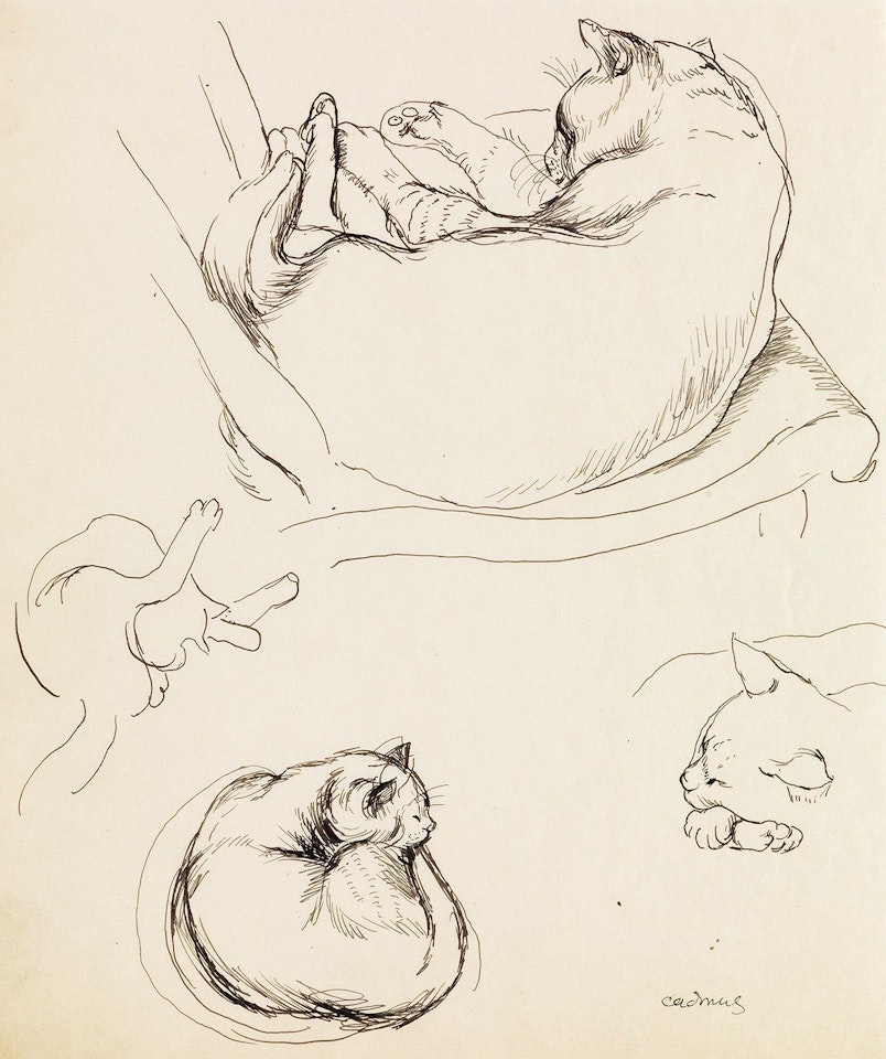 Studies Of Cats by Paul Cadmus