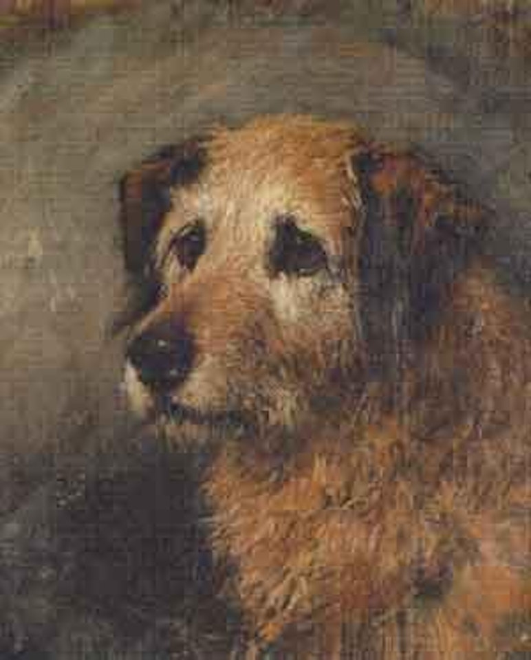 Bob, a terrier by John Emms