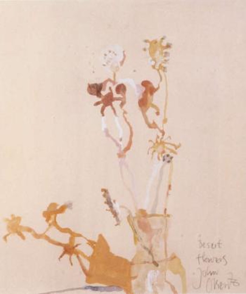 Desert flowers by John Olsen