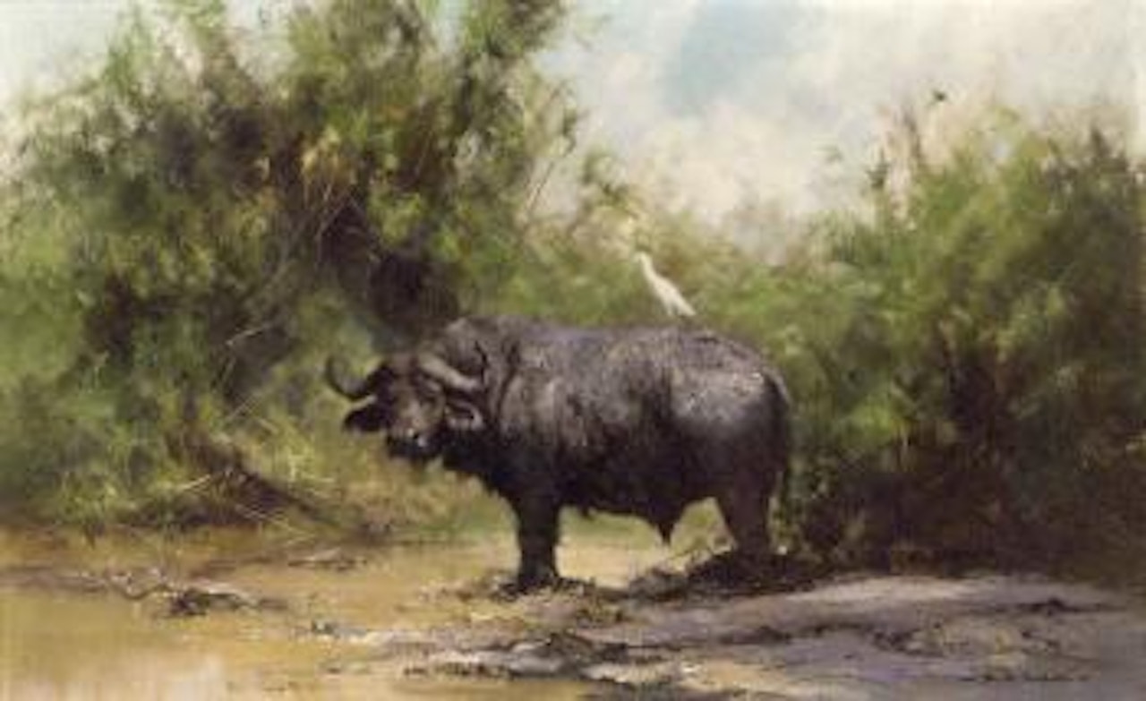 Glorious mud by David Shepherd