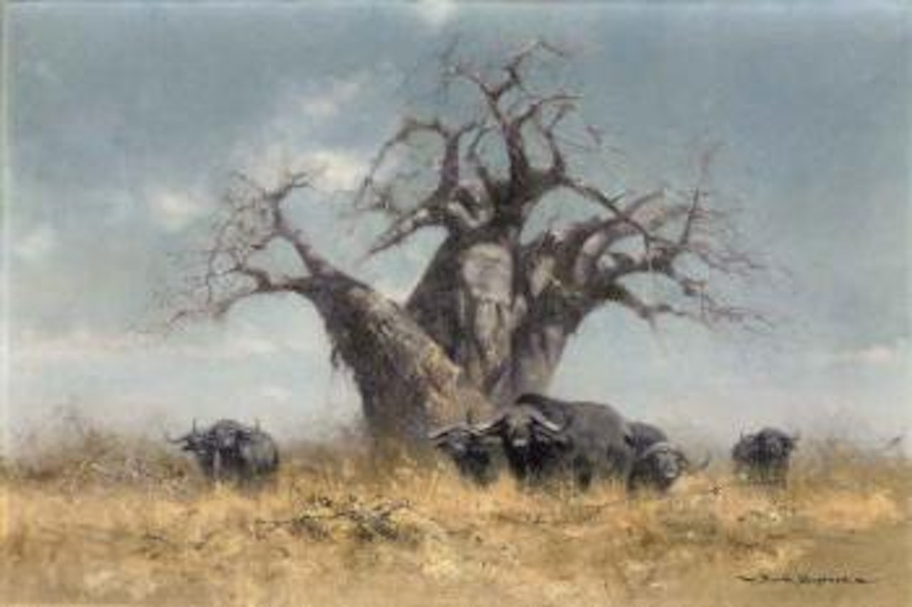 Buffalo and the baobab tree by David Shepherd