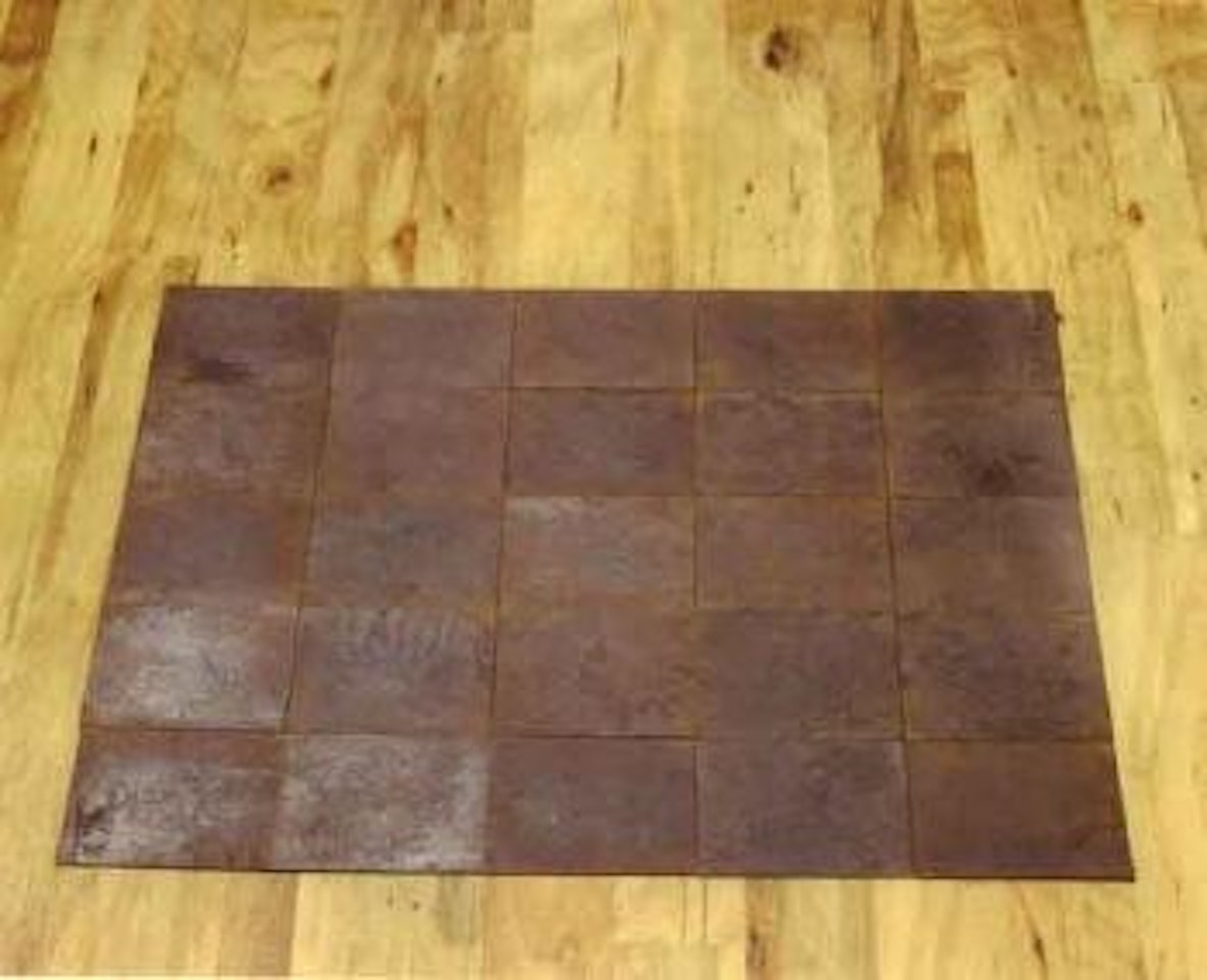 Beaver pond by Carl Andre