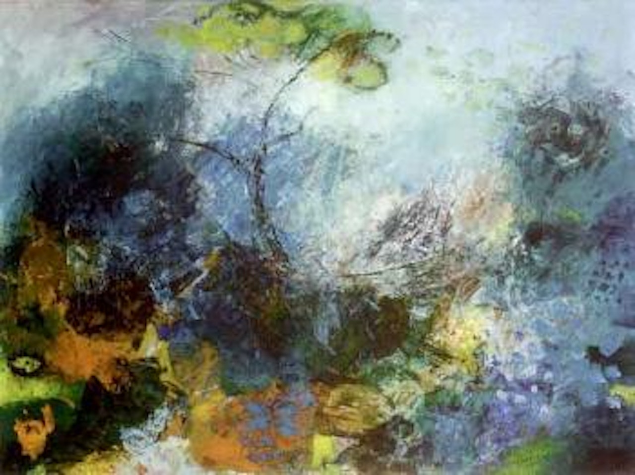 Blossoms by Daniel O'Neill